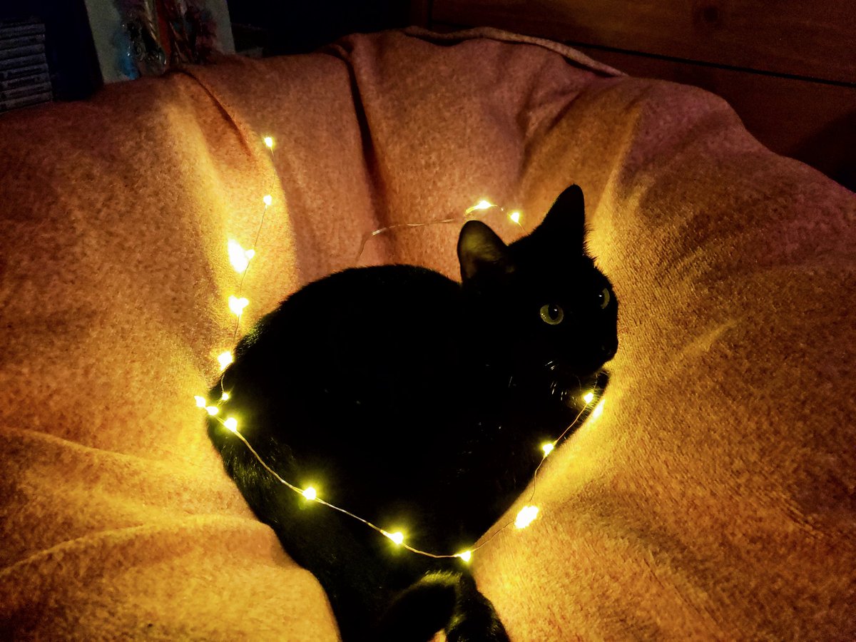 Sweaty Milk tweet media