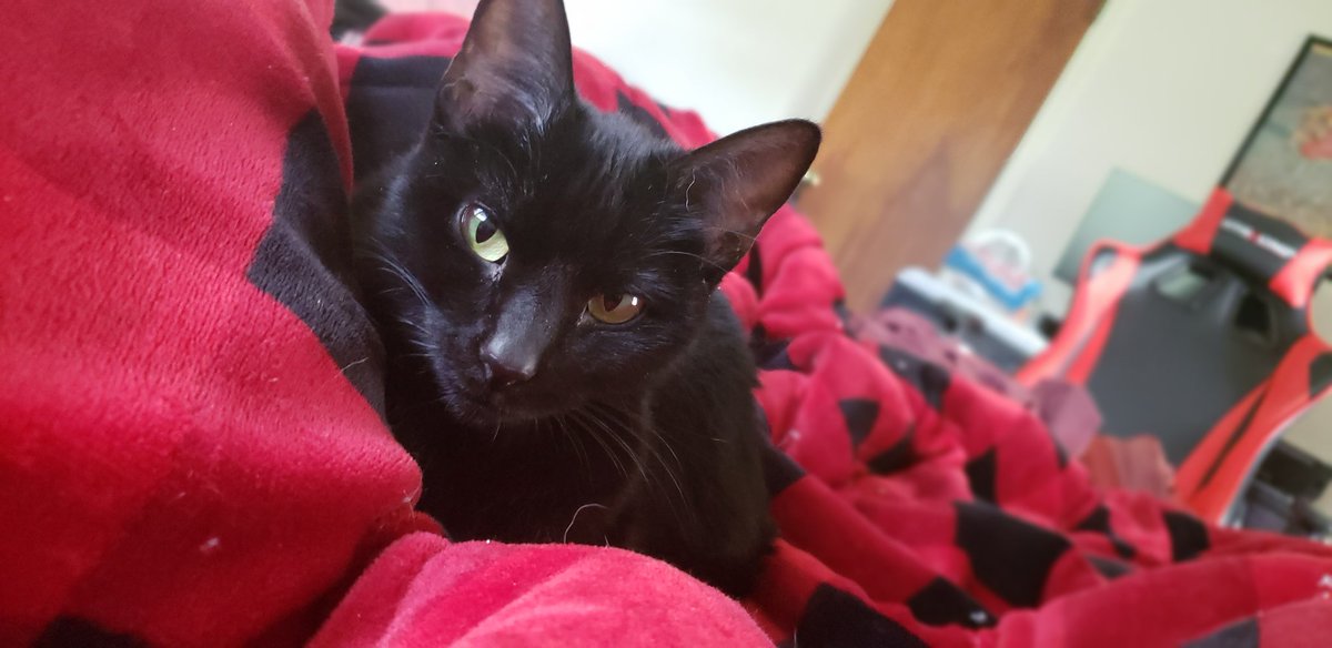 Sweaty Milk tweet media