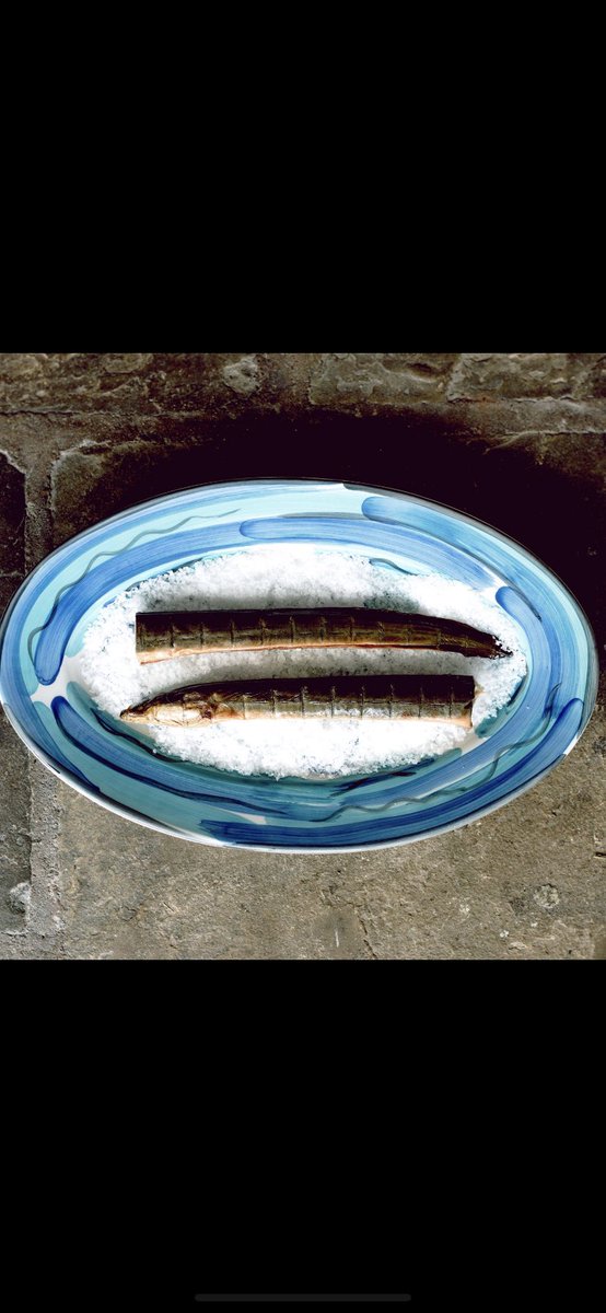 The Salutation Inn tweet media