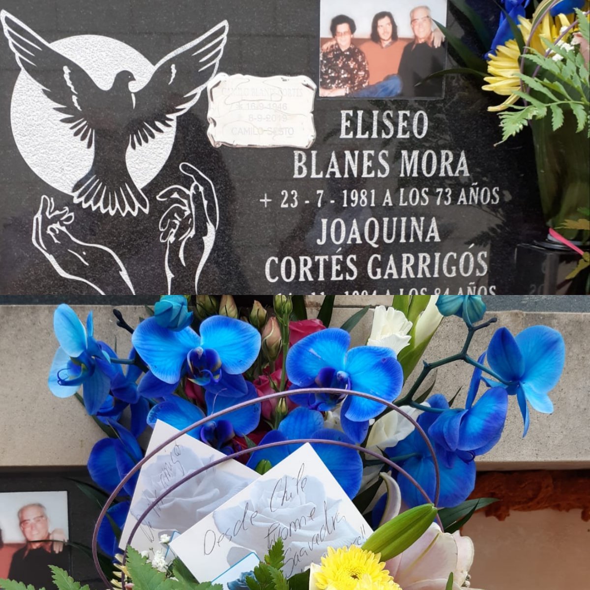 CamiloSesto's tweet photo. Un año sin ti 
Pero siempre contigo 
Colocamos estas flores de tu color favorito.
En representación de todos los que te queremos.
#camilistas #camiloeterno #camilosesto ##unañosinti #CAMILO #camiloembajador Camilo Sesto Club de Alcoy  Camilo Sesto: Único e incomparable  Siempre https://t.co/uZTsjgA3wJ