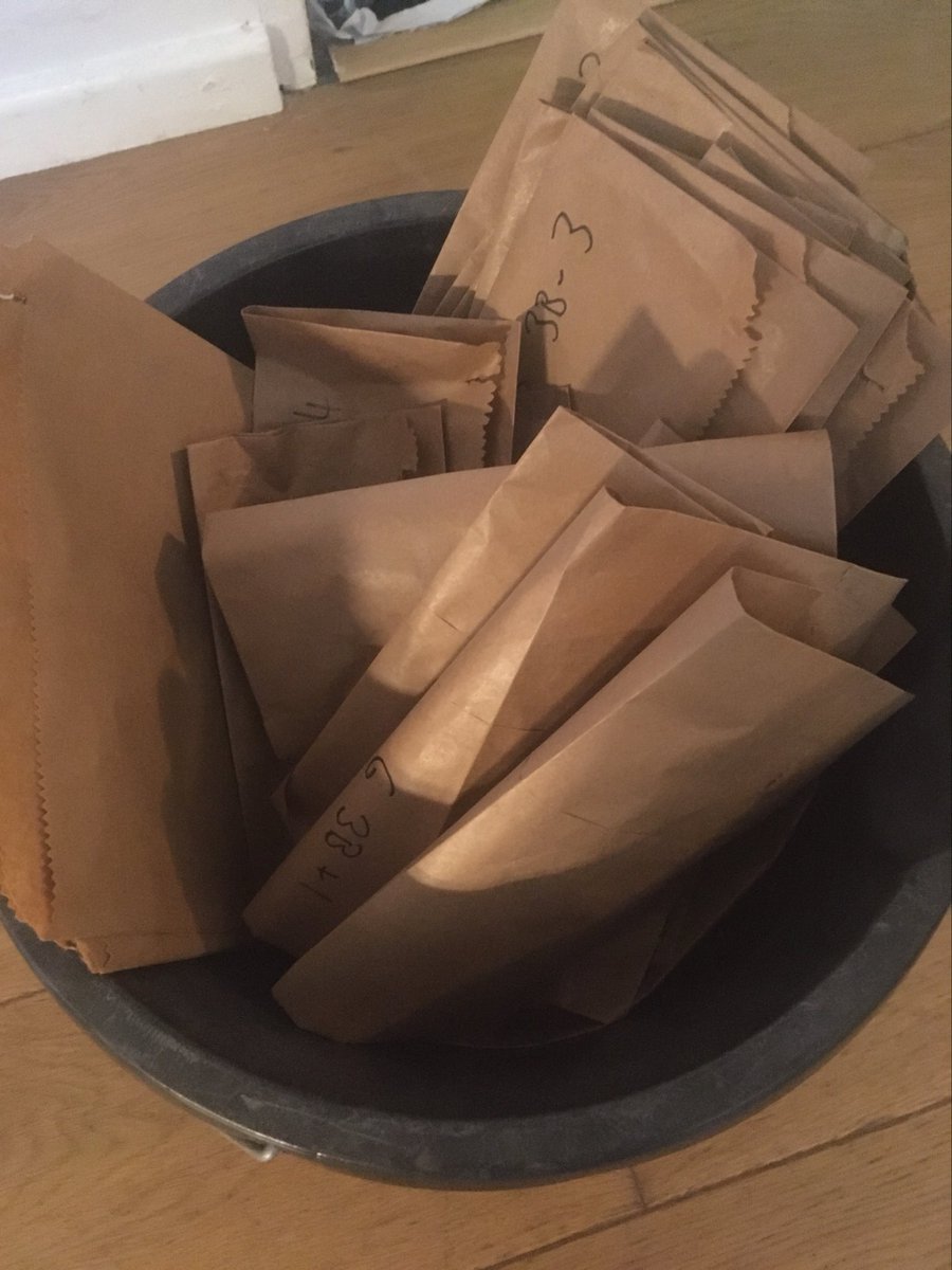 And I’ve got a bucket full of ears from my garden. #wheat #CitizenScience #WFH 🌾 👨‍🔬 👨‍🌾