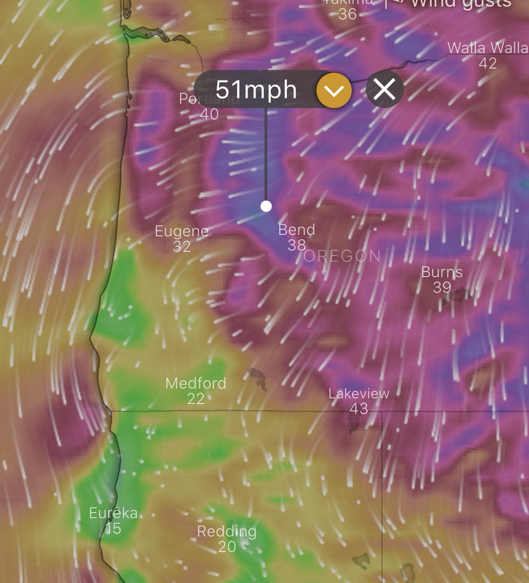 I mean, look at this dry, hot wind basically over the entire state of Oregon later tonight.