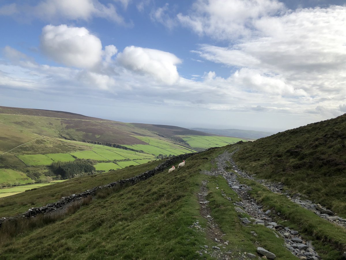 ManxShepherdess's tweet photo. #MilleniumWay (cheats version!) I only did 8 miles of 26. I like the challenge and the isolation of the hills so skipped the flatter/ road sections. Didn’t see a soul. The plaque and I are the same age; I’d say we’ve both weathered badly after some hard winters! #isleofman 2/5 https://t.co/AdQHf8e67X