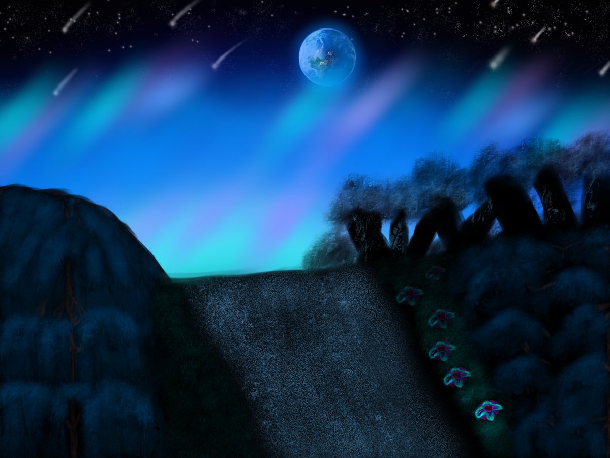 To all Stirlingites and  @LindseyStirling , I hope you enjoy this new art of mine for my story!I always had this vision of a forest at night time, with willow trees, with the Northern Lights and shooting stars and the Earth and flower beds. Literally!Giant flowers u can sleep on!