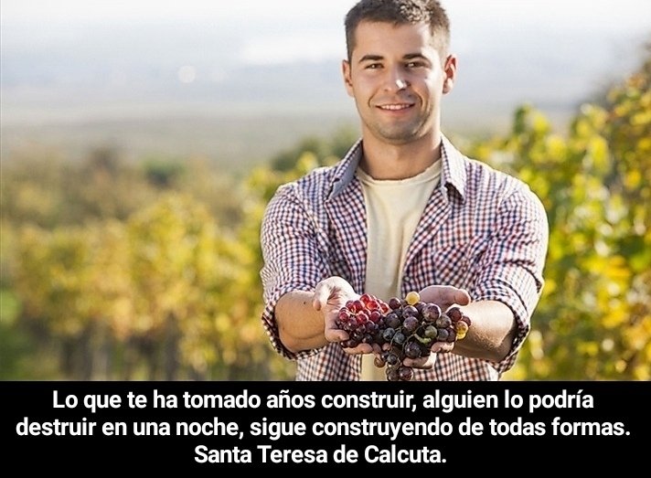 TorcuatoCoach's tweet image. Cuidarse demasiado de los demás nos resta fuerzas que deben ser puestas en lo que deseamos edificar.
Construyamos con amorosa pasión que los frutos no tardarán en llegar.
#Edificar #FrutosDelTrabajo #EntregaConPasion #TeresaDeCalcuta