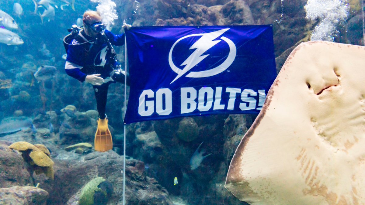 VisitTampaBay's tweet photo. Labor Day the Tampa Bay way. With playoff hockey!

#GoBolts  #BeTheDistantThunder https://t.co/SEcsmRNSmw