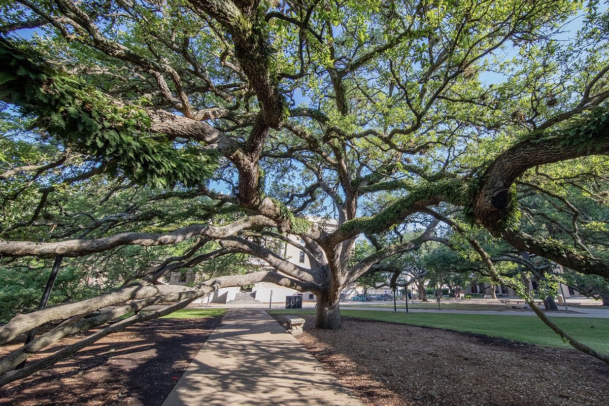 Amazing Colleges tweet media