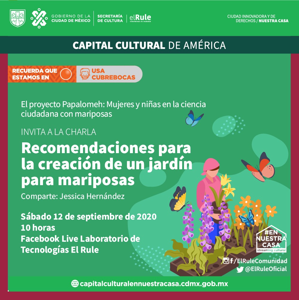 ElRuleOficial's tweet photo. ¿Te gustaría conocer las recomendaciones para la creación de un jardín para mariposas?🦋

🔵¡Este sábado asiste a la charla de @LabTecnologias por Facebook Live 

#labtec https://t.co/ZiKXdaLDza