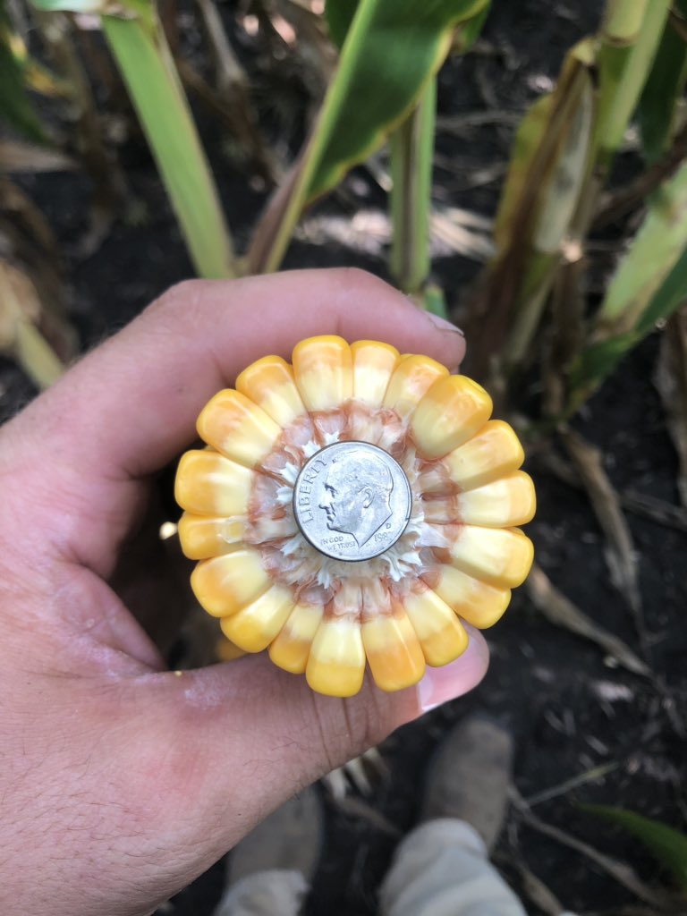 Scott Simpson tweet media