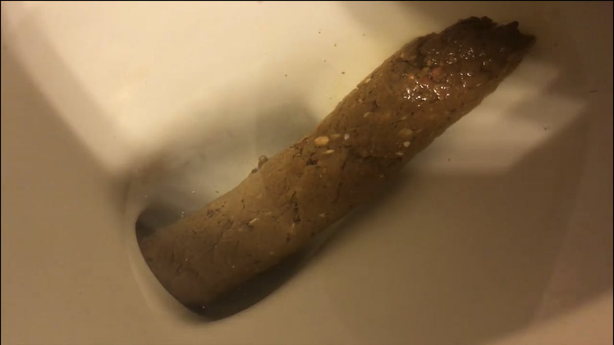 LogGoddess's tweet photo. It’s finally done! 🥰 I made an over 10 minute long compilation of all kinds of dumps - from firm logs to diarrhea blowouts, with flushes, my moans~ the whole package! 💖 
I’m super, super proud of this video, if you’re interested in buying it DM me! 🥳

#scat #scatvideo #female https://t.co/vFLzYGTa5e