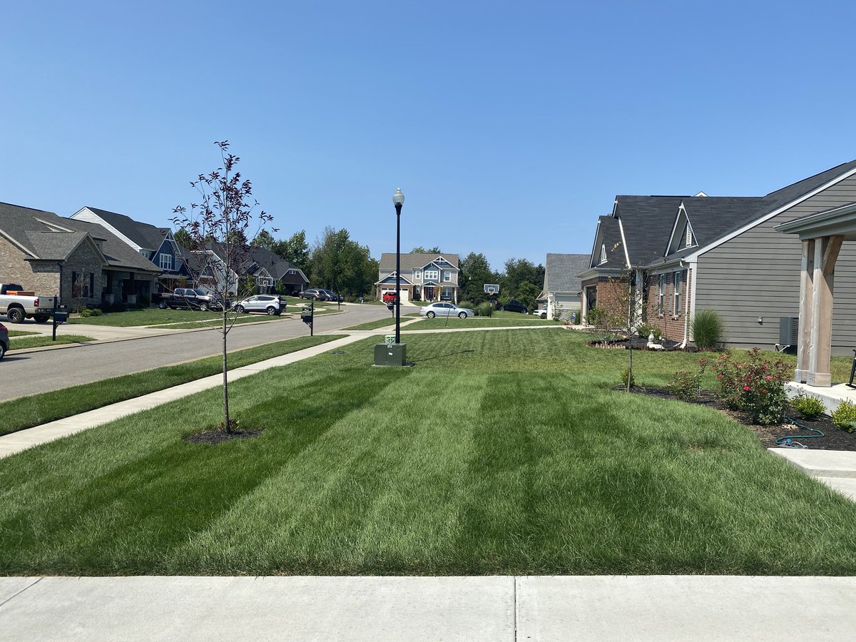 diykgl's tweet photo. #lawncare #lawncarenut #lawnporn #lawnstripes #lawnmaintenance #lawnfawnatics #lawncare_of_instagram #diylawncare #diylawncommunity #diylawn #lawnstripes #grassstripes #lawndomination #lovetomow #kickgrasslawns #stripenation #soil #biostimulants #lawnaddict #mow #lawncarelife https://t.co/ULgMAgu22T