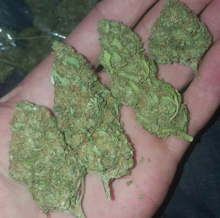 NicolasWeed11's tweet photo. De la bonne weed livraison discrète partout en france
Snap: bony_ryan2020
#Montréal #Gatineau #weed #beuh
#shit #cocaine #drogue #Alma
#Princeville #levis #Sherbrooke #Québec #citation #Annecy_live #Toulouse #meditation #Montpellier https://t.co/hD4vgGYZdK https://t.co/HQcAYHka24 https://t.co/snAX69SN4C