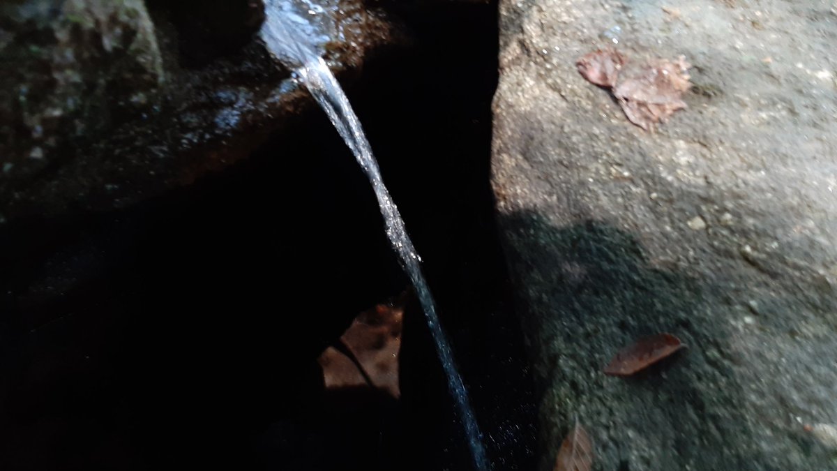 brwneyedsoulman's tweet photo. Do you see what I see?
#BrownEyedSoulMan
#TheHouseofMGT
#photography #springofwater #NaturePhotography #arabiamountain #atlantaphotography https://t.co/JXBn2r60tp