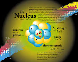 Here’s a thread about the  #nucleus… no, Professor Ernest Rutherford, not the atomic nucleus that you discovered with your alpha particles back in 1911. This is about *cell* nuclei and all their weird and wonderful forms, in blood cells and beyond.  #HematologyTweetstory 31! /1