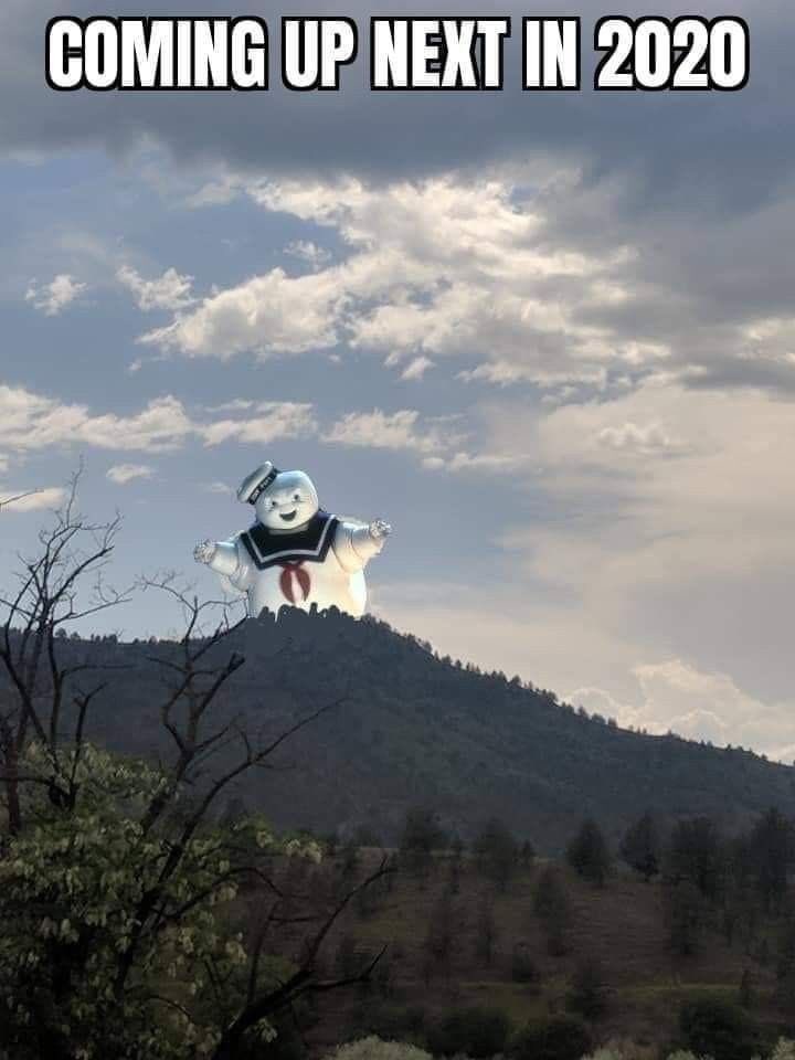 Juliet2HisRomeo's tweet image. #2020problems