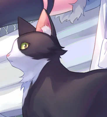 ぬこ 