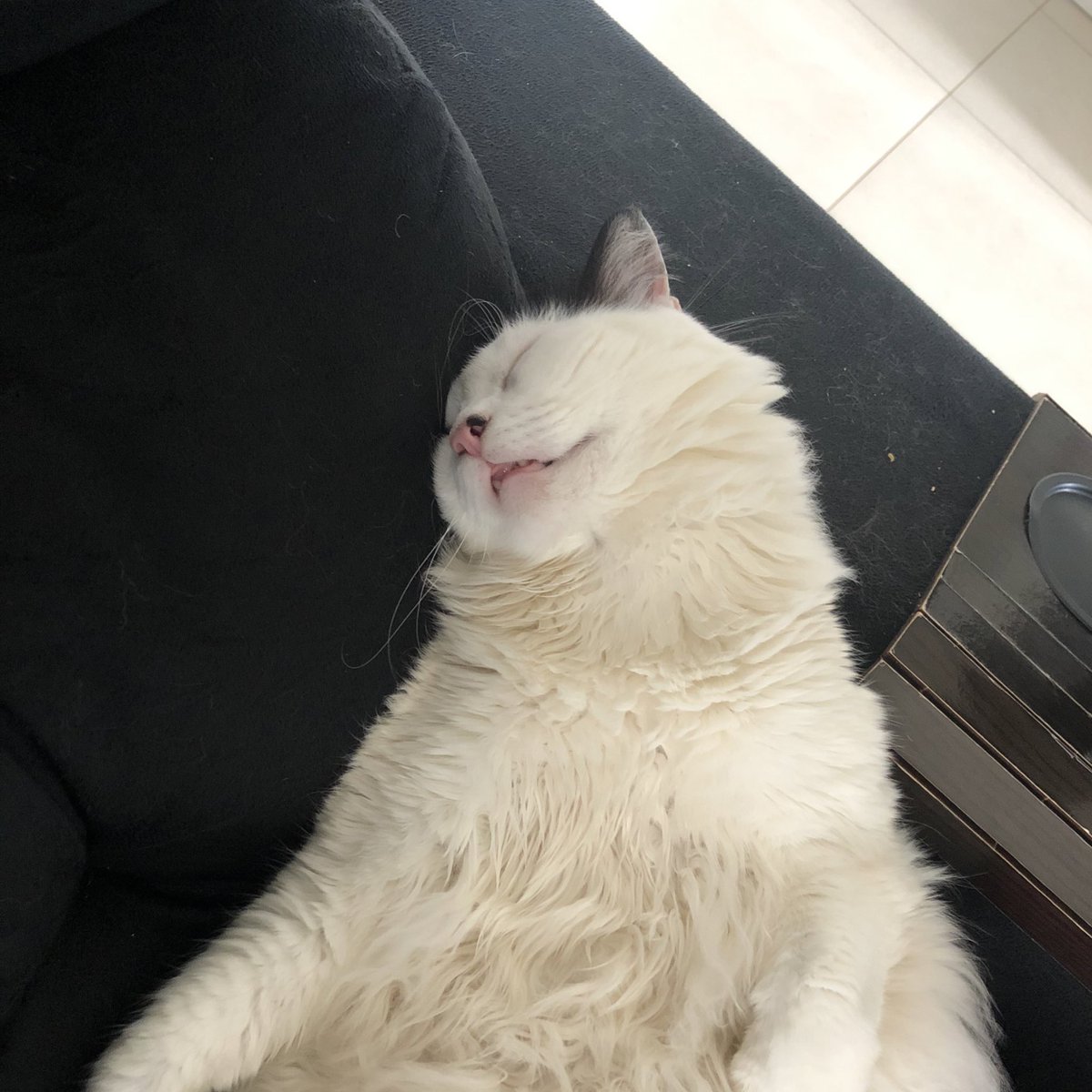wtfmiu's tweet photo. de dia / de noite https://t.co/DfJtvrkoxk