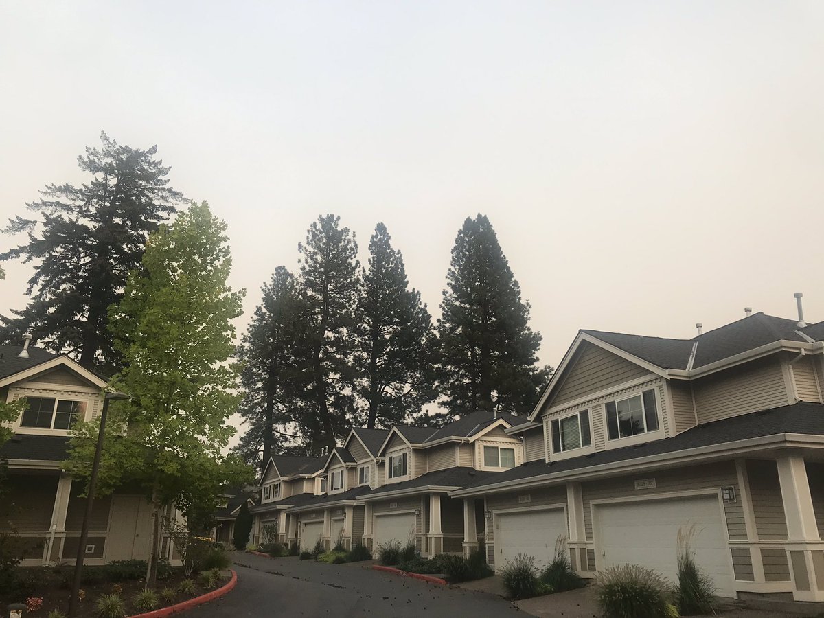 Those aren’t clouds, that’s smoke. There are also more pine cones on the ground than I’m used to, which is weird but not an issue.  #pdxweather