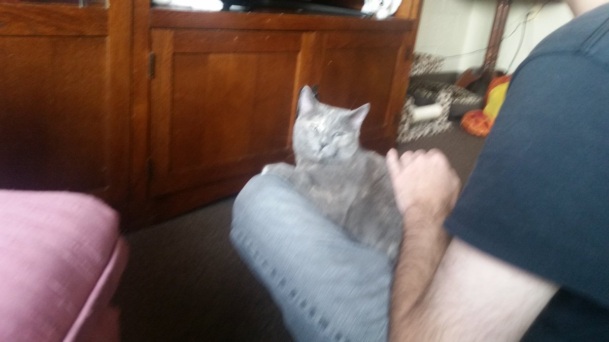 Rixen10's tweet photo. @MabeltheLtQueen She's sitting on my boyfriend's lap, her dad, in the 2nd pic! https://t.co/0rK1TOHqP6