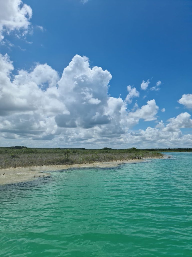 AutosyMas's tweet photo. Las hermosas postales del caribe Mexicano! #MexicanCaribbean con #ChevroletTracker seguiremos recorriendo destinos espectaculares... #ReactivaMexico @visitbacalar #QuintanaRoo #SuperaLoInsuperable
Sigue al Team de Autos y Más en esta ruta que apenas comienza. @ChevroletMexico https://t.co/UTFZR9ATc2