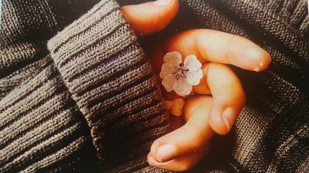 WayneFr79832881's tweet photo. Petals around the bud,
You flit and fleet to a french tempo,
Soft buttery whites,
And rosy cheeks pinks,
Girlishly blushing,
And growing up in a blink,
The moment is immortalised,
With pressed flowers and poetry. https://t.co/akr8d0pOAp