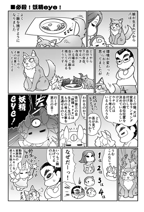 必殺!妖精eye! #漫画 #日常 #嫁 #猫 https://t.co/qJ1hdaWJg5 