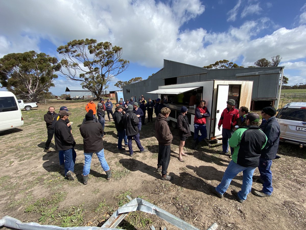 David Pfeiffer tweet media