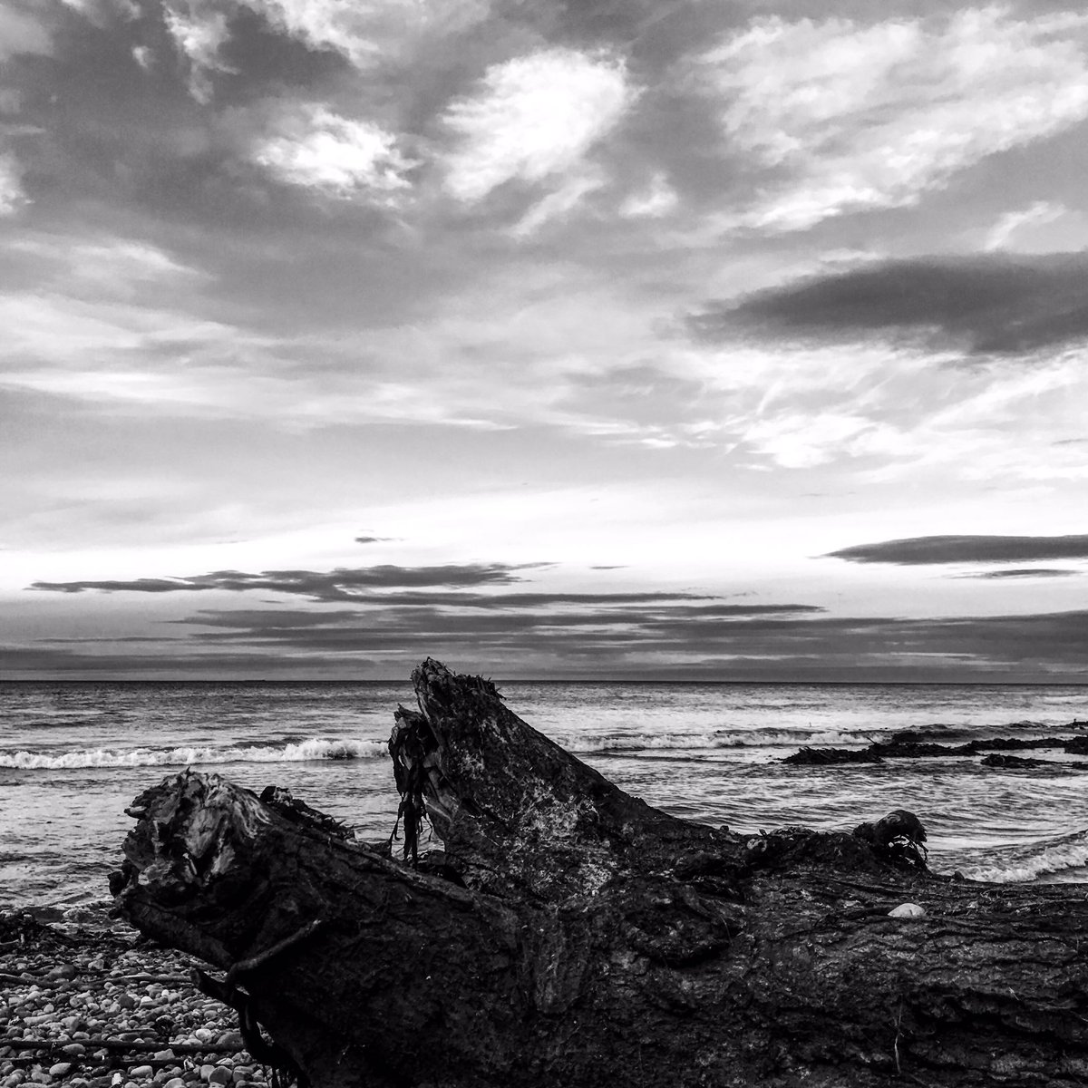 AndrewCritchett's tweet photo. Blue Monday.
.
.
.
#beachin #headspace #beachwalk #selfcare #ADHDWalkers #adhdexercise #beachwalktogetherstaytogether #bluemind #yorkshirecoast #bluemonday https://t.co/jNVpPHVto2
