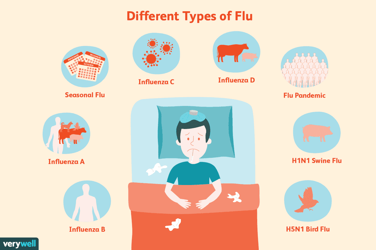LibraryPocket's tweet photo. Different Types of Flu
#Book #Medicine #Psychology #Nutrition #Science #Physics #Technology #Astronomy #Neurology #Anatomy #Biology #Chemistry #Mathematics #university #Infographic #picture #Animal #Nature #Small_Pocket_Library https://t.co/xgnvN8H4aq