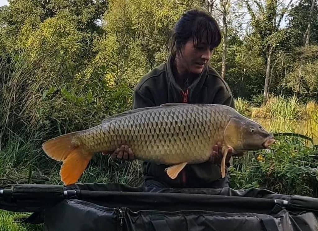 Team member @carpcrazyhayley with a recent catch report 👌.

Two lovely commons banked. 23.14lb and 19.8lb. Caught using Incredible Tackle Chod beaked point hooks size 6, trans khaki kickers, tungsten anti tangle sleeves. 

Top angling Hayley 👍🎣🐳🔥💯.