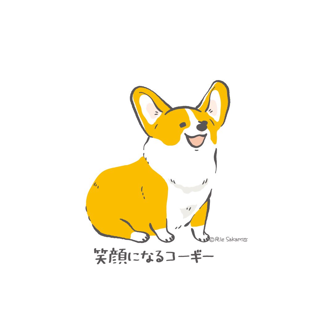 写真を撮ったときのコーギーあるある 笑顔になるコーギー 1 11 Cor サカモトリエ イラストレーターのイラスト