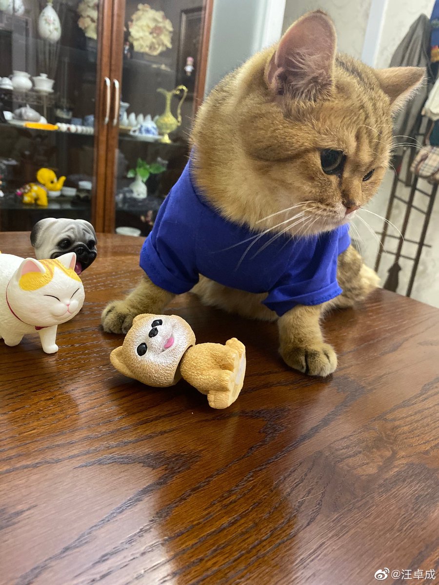 daily danta (@daily_danta) on Twitter photo 