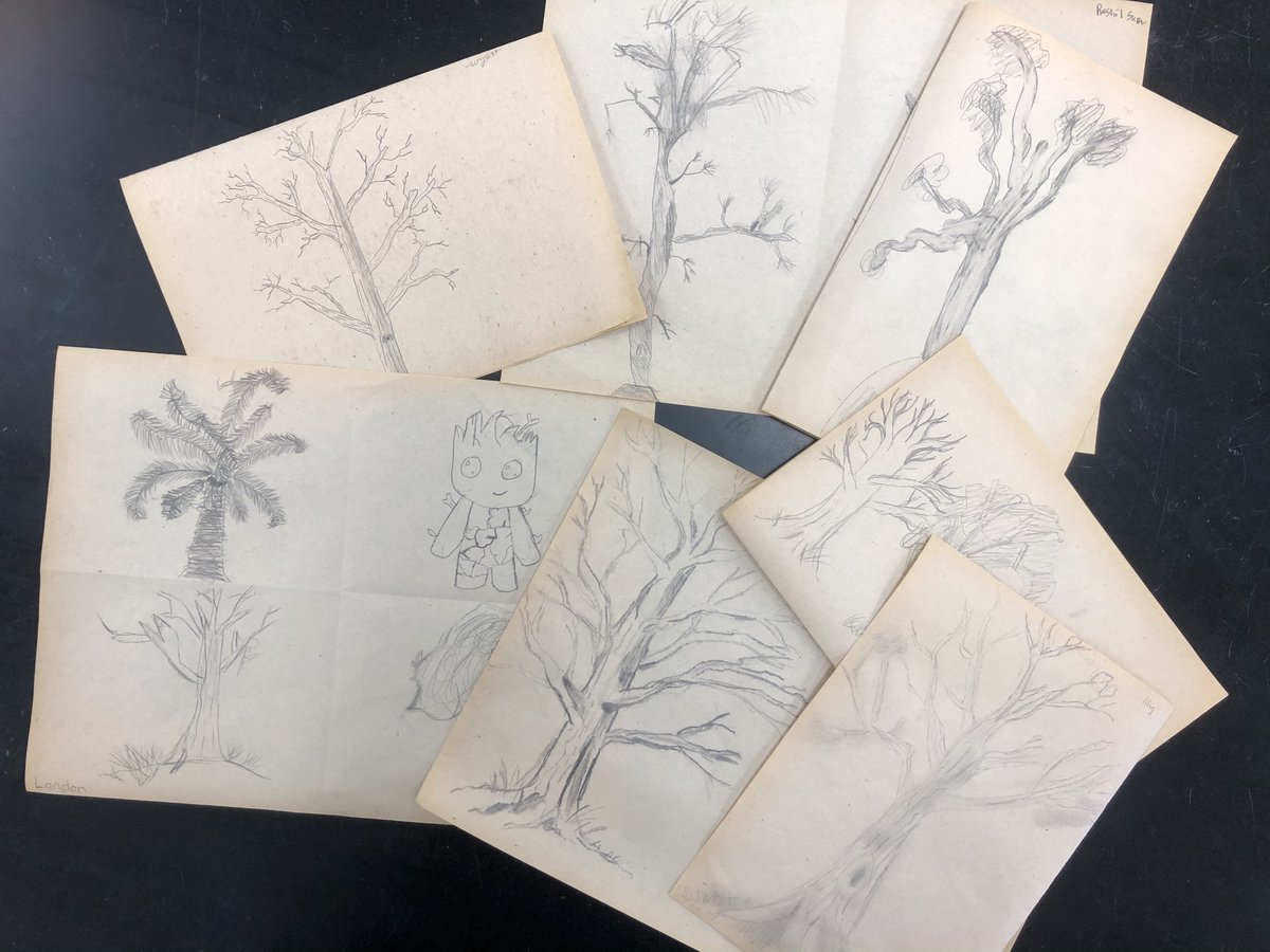 stedsarts's tweet photo. SES ART ALERT! - 7 &amp; 8 grade students work in progress - Observational Tree drawings with Zentangle additions!  AND 6 grade getting creative with One Point Perspective Botanical Greenhouses - Thanks for sharing and keep the Art Works coming!! @StEdsMiddle  @StEdsVero https://t.co/YF6DoQJ60N