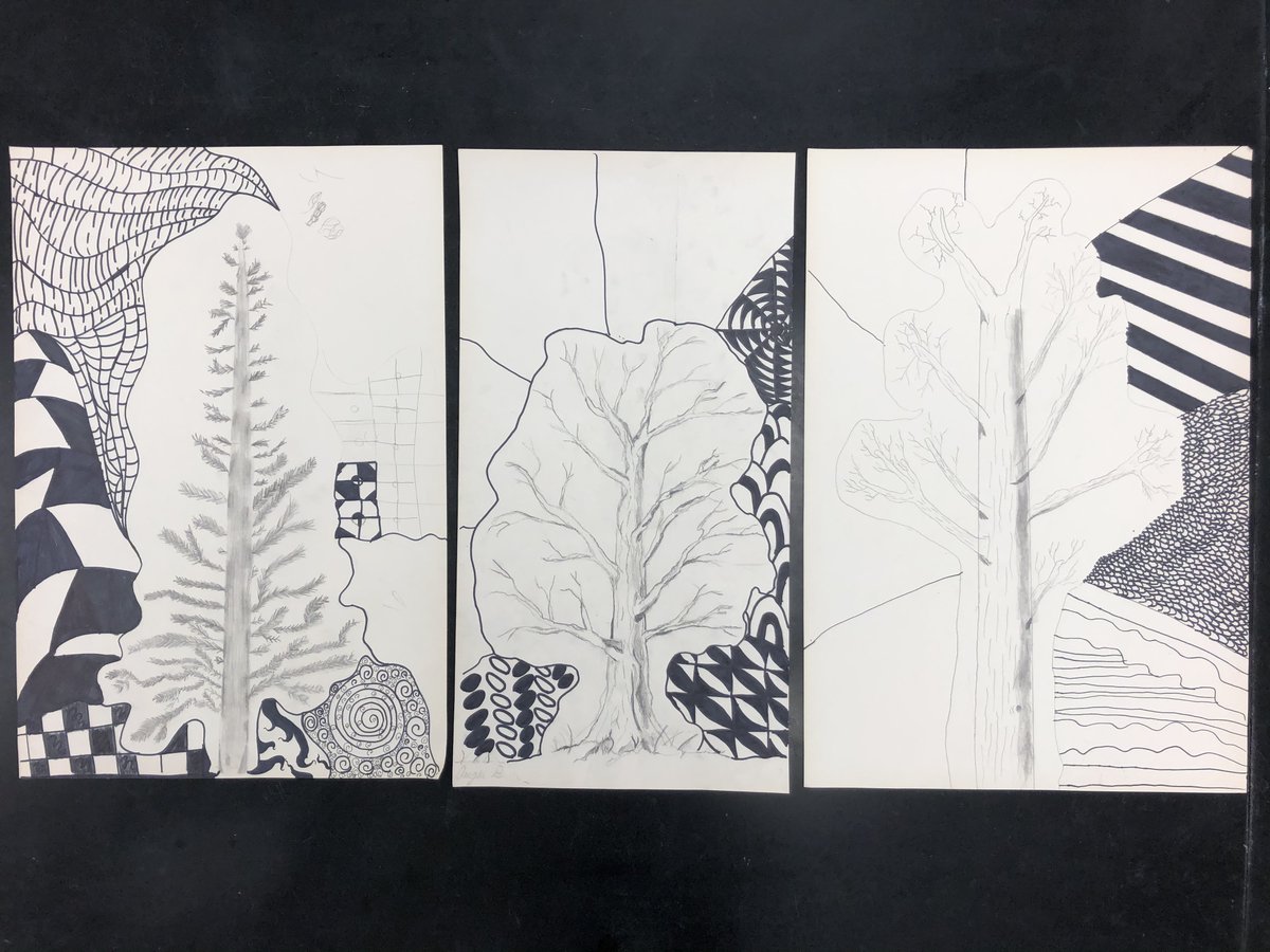 stedsarts's tweet photo. SES ART ALERT! - 7 &amp; 8 grade students work in progress - Observational Tree drawings with Zentangle additions!  AND 6 grade getting creative with One Point Perspective Botanical Greenhouses - Thanks for sharing and keep the Art Works coming!! @StEdsMiddle  @StEdsVero https://t.co/YF6DoQJ60N
