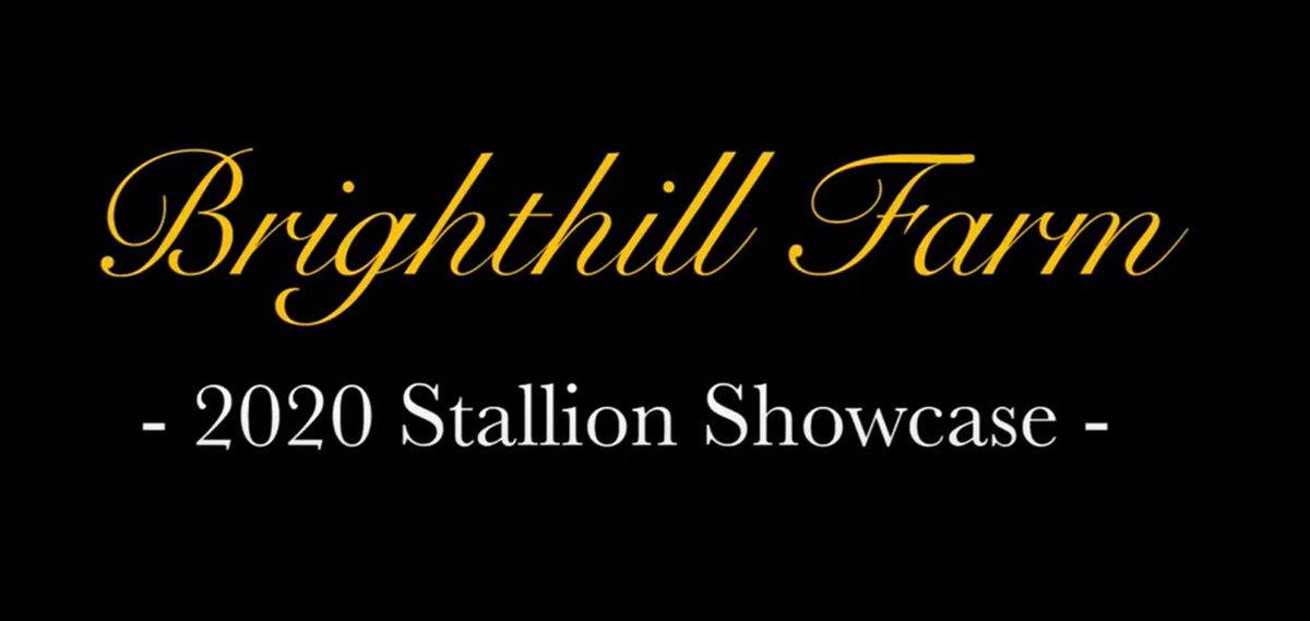 brighthillfarm's tweet photo. 📹🍿 Brighthill Farm 2020 Stallion Showcase 🏆
We are very proud to showcase our 3 young, high-quality resident Sire's, that will be headlining our roster for the 2020 season. #Preferment #Eminent #Dalghar
Please click on the link to view.👉 https://t.co/k9kzWVhrWC https://t.co/flaV5ksf1P