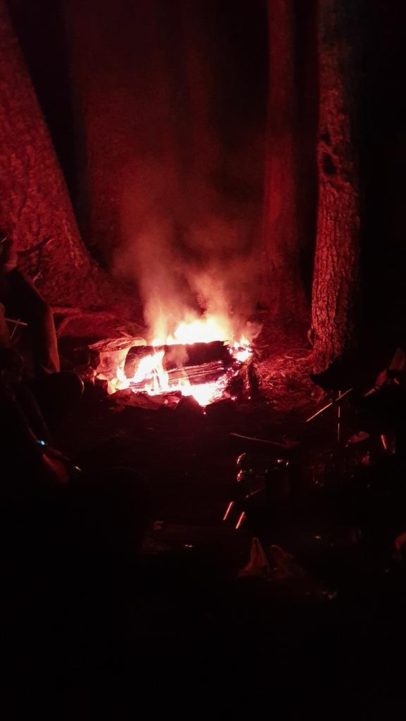ferhanmazllami's tweet photo. feelin alive 🌕 https://t.co/HDW15rT2h0