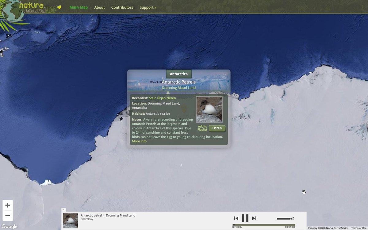 mrpiercEy's tweet photo. this is a really cool map.  

the "nature soundmap" lets you listen to recordings of wild places around the world: https://t.co/gyPpvtapZh #kygodigital @NatGeoEducation https://t.co/ui9TRIbCKx