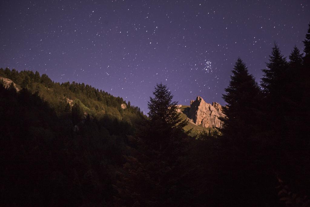 ferhanmazllami's tweet photo. feelin alive 🌕 https://t.co/HDW15rT2h0