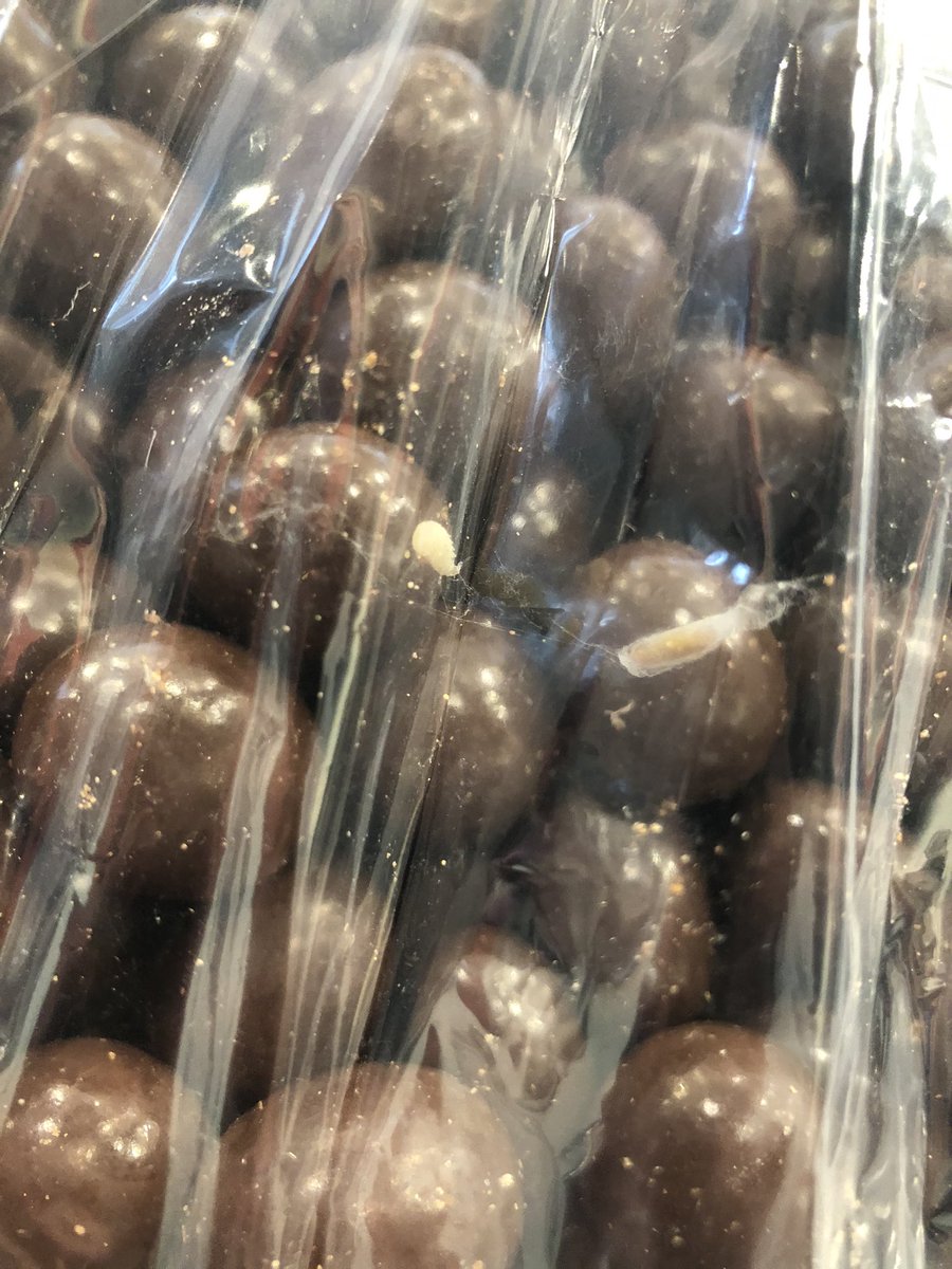 EKeay's tweet photo. Would not recommend the chocolate almonds from Laura Secord @laurasecordca 
#yesthosearemaggots https://t.co/Dy1zAQ6f77