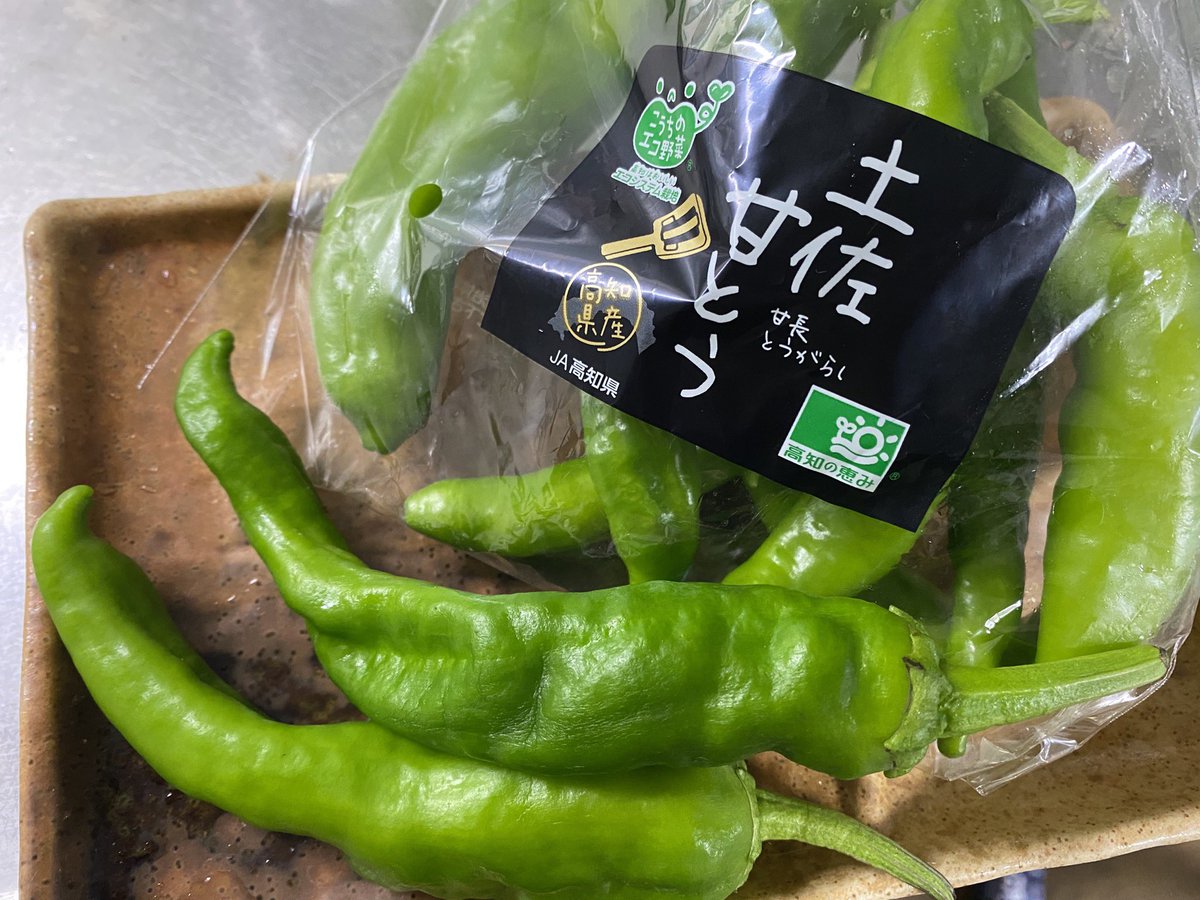 土佐甘とう 土佐甘とう