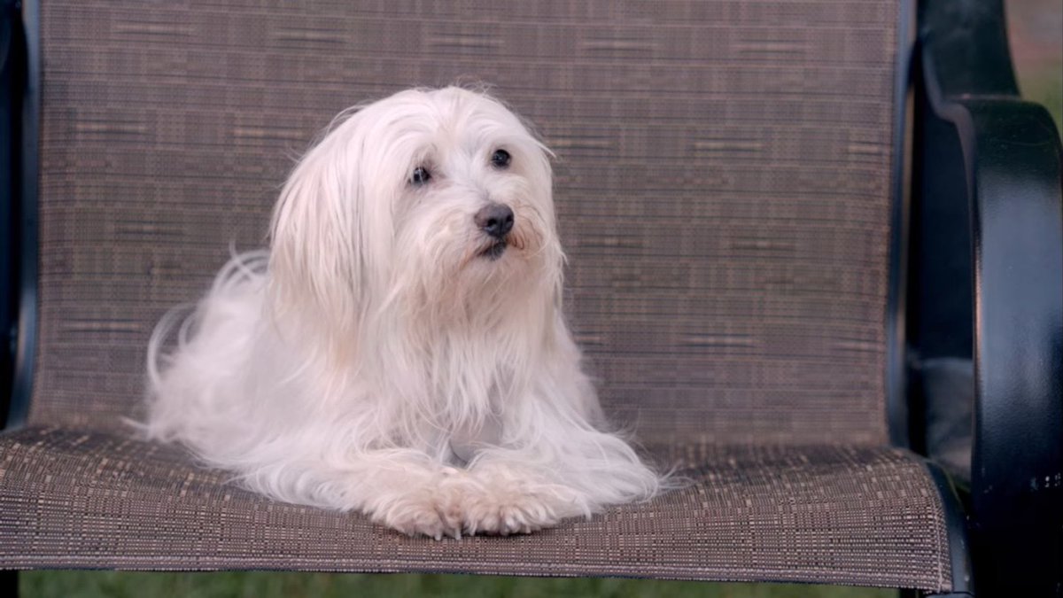 out of context new girl (@nonewgirlcontxt) on Twitter photo 