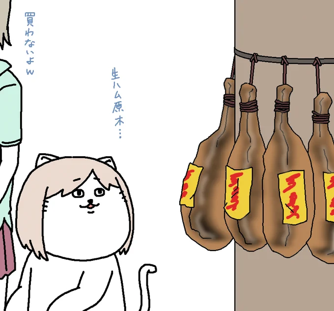 【日刊たのしい前川】
輸入食品のお店に行ったら、凄い魅力的な物を発見してしまった前川 