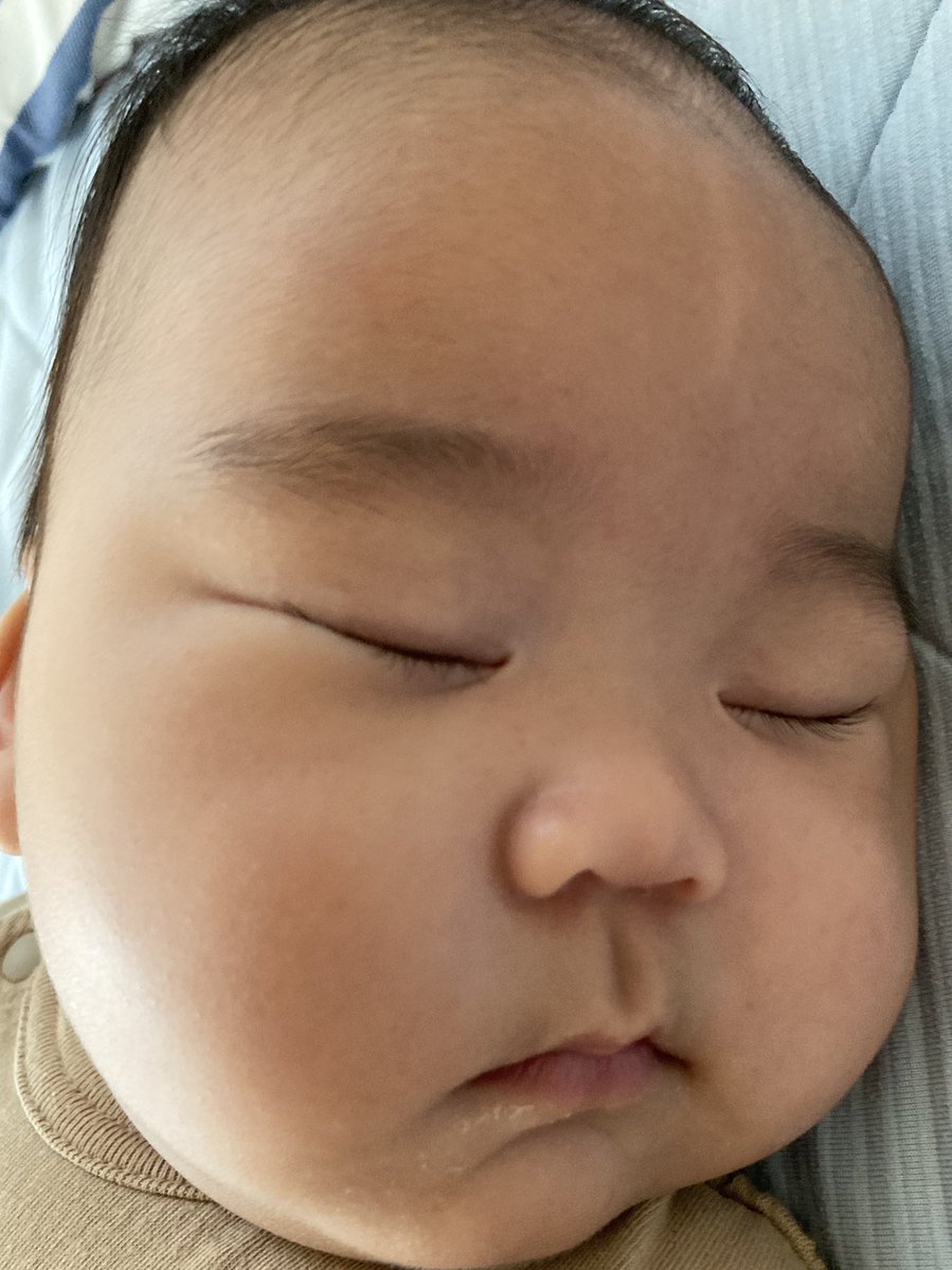 Tatsuya Reikunchannel Twitter