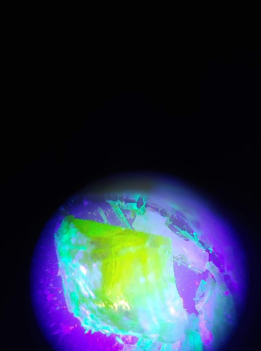 J&J Connection Podcast tweet media