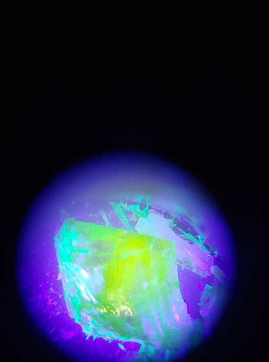 J&J Connection Podcast tweet media