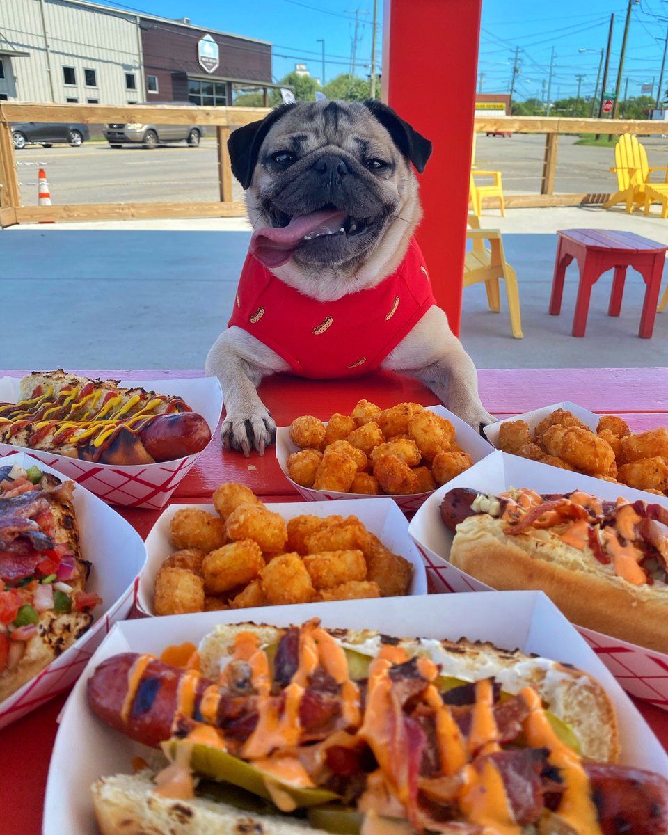 itsdougthepug's tweet photo. I like to order my food in bulk 🌭 https://t.co/9LT0qA14X5