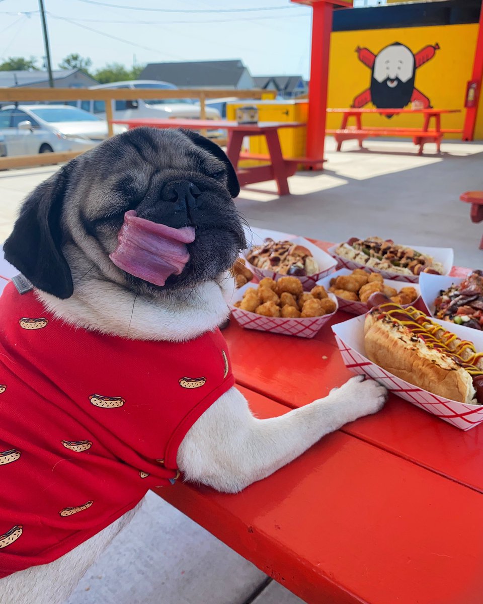 itsdougthepug's tweet photo. I like to order my food in bulk 🌭 https://t.co/9LT0qA14X5