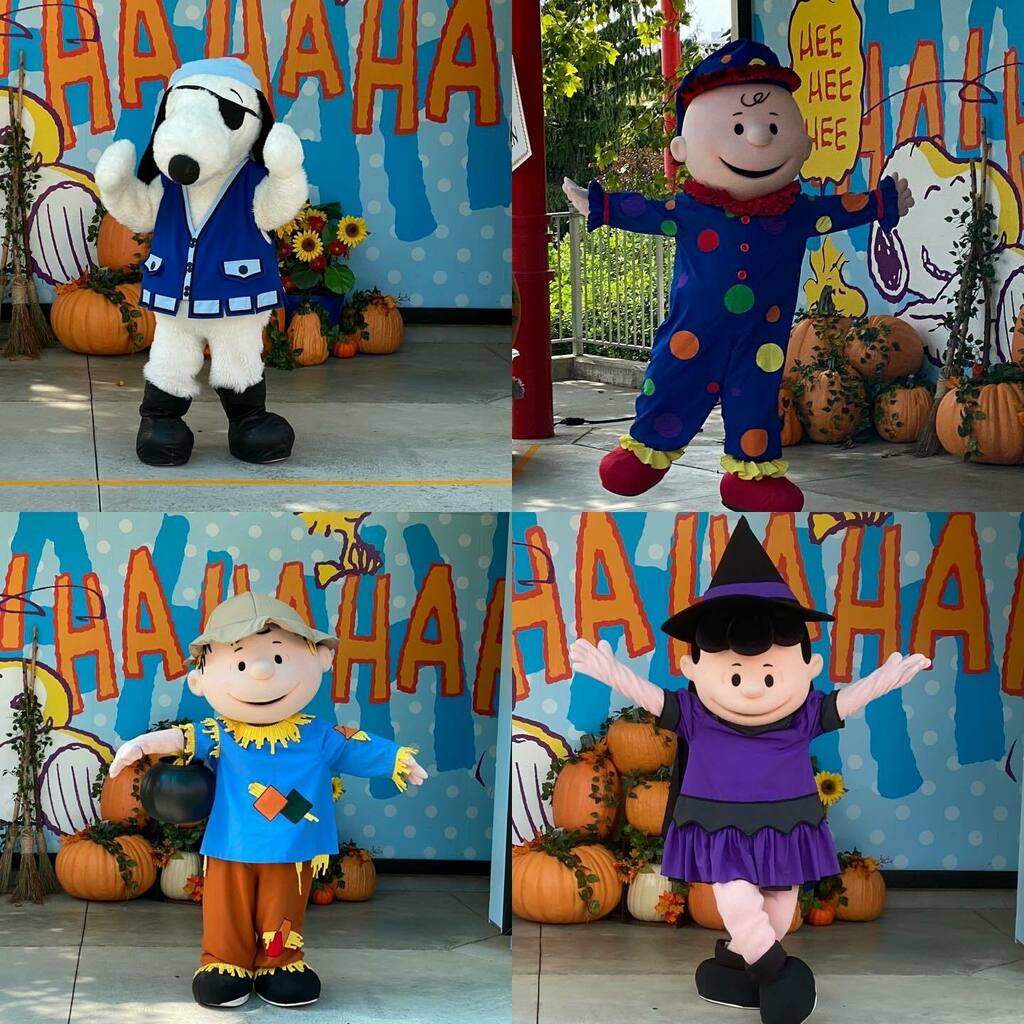 Jace736's tweet photo. Had a fun day at @dorneyparkpr where Snoopy and the Peanuts gang were in their Halloween costumes!
.
.
.
#dorneypark #dorney #cedarfair #cedarpoint #dpbestday #snoopy #peanuts #platinumpass #cedarfairplatinumpass #character #characterhunting #characterh… https://t.co/mTIGtlzjrq https://t.co/NsdEtL2eQv