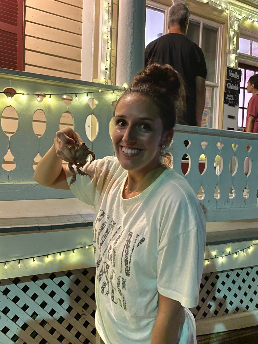 MrsBiddle7's tweet photo. When you go to get ice cream with your family, but end up crawling under a bench to save a toad 🐸 #ScienceTeacherProblems https://t.co/dHWi3CWIw8
