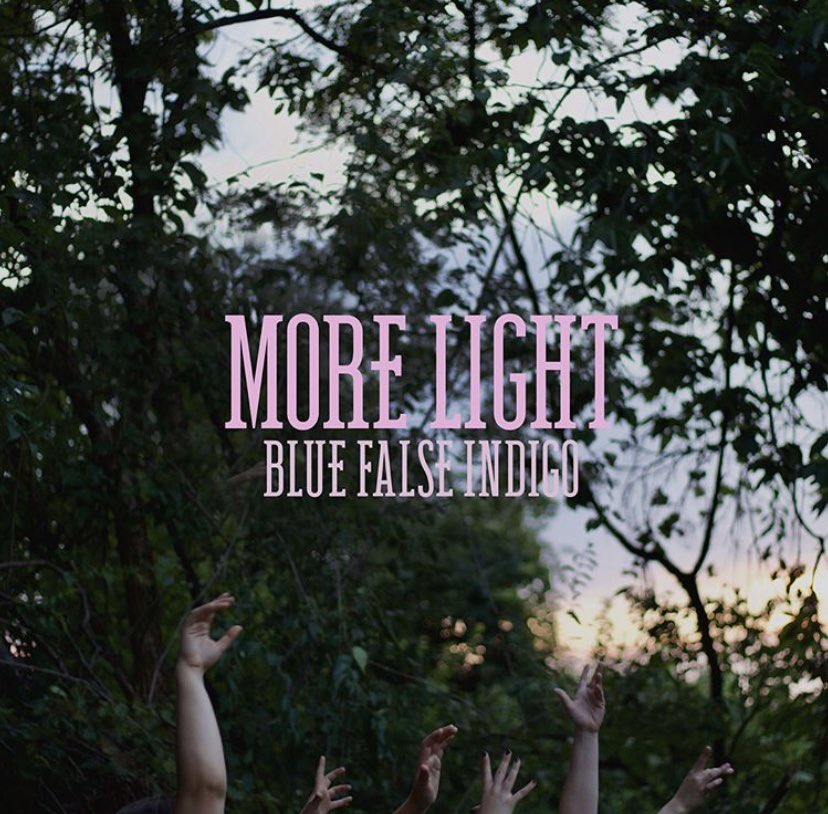 Blue False Indigo tweet media